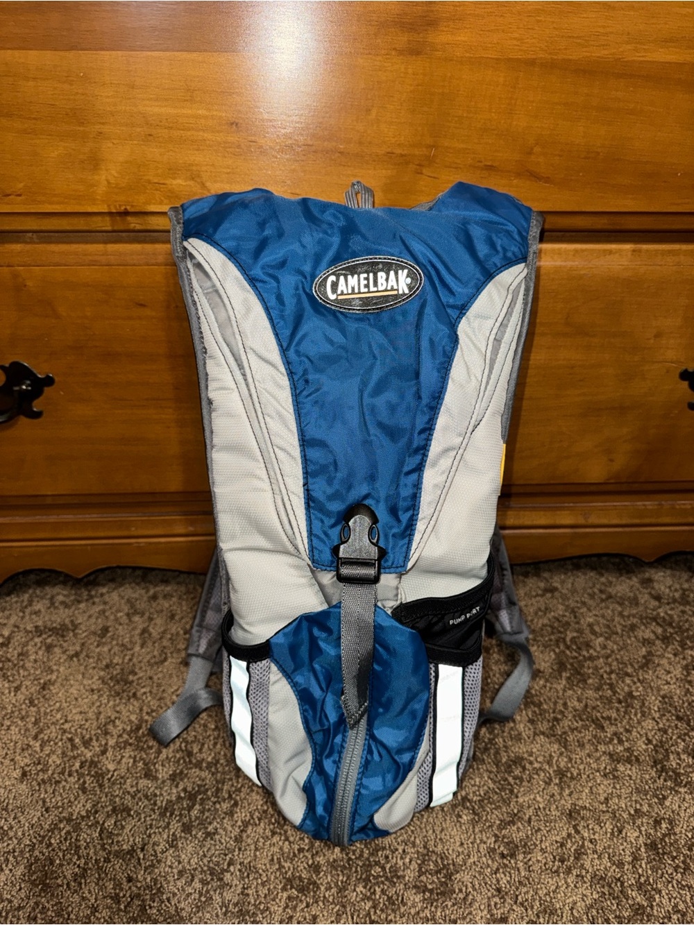 Camelbak Bag!